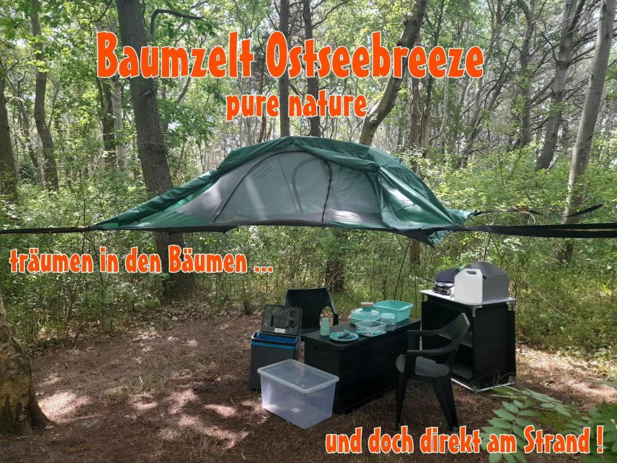 Baumzeltdorf Ostseebreeze Direkt Am Strand ドランスケ エクステリア 写真