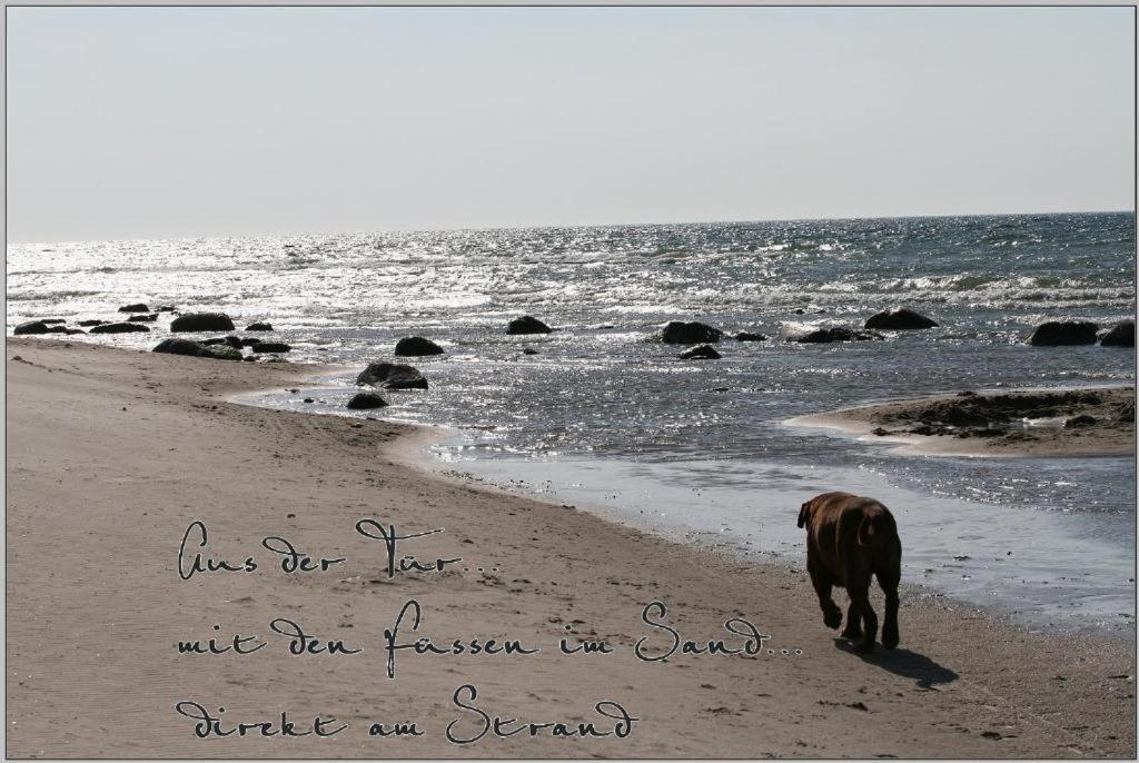 Baumzeltdorf Ostseebreeze Direkt Am Strand ドランスケ エクステリア 写真