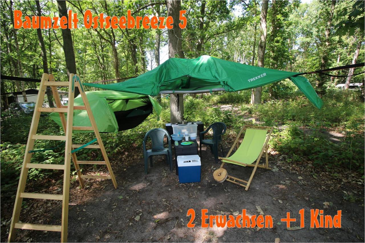 Baumzeltdorf Ostseebreeze Direkt Am Strand ドランスケ エクステリア 写真