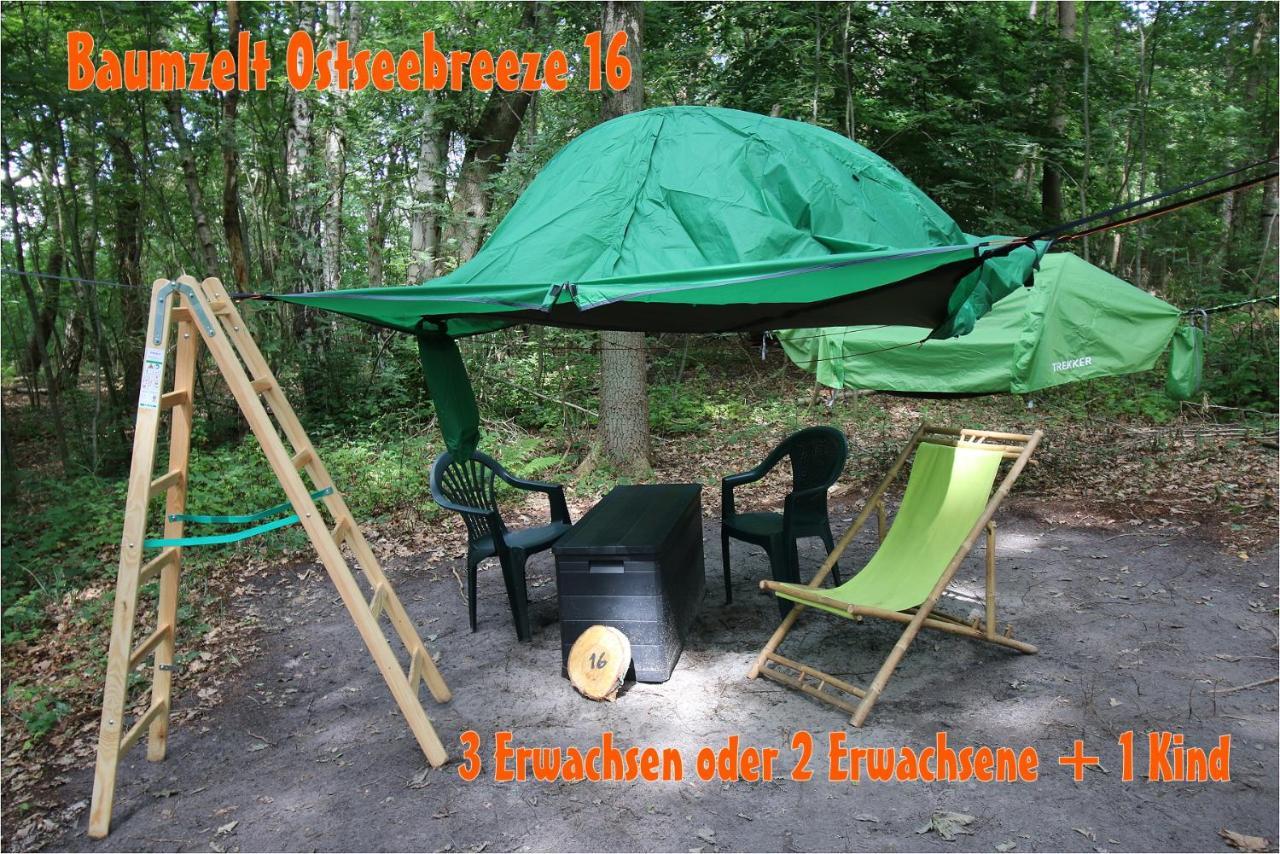 Baumzeltdorf Ostseebreeze Direkt Am Strand ドランスケ エクステリア 写真