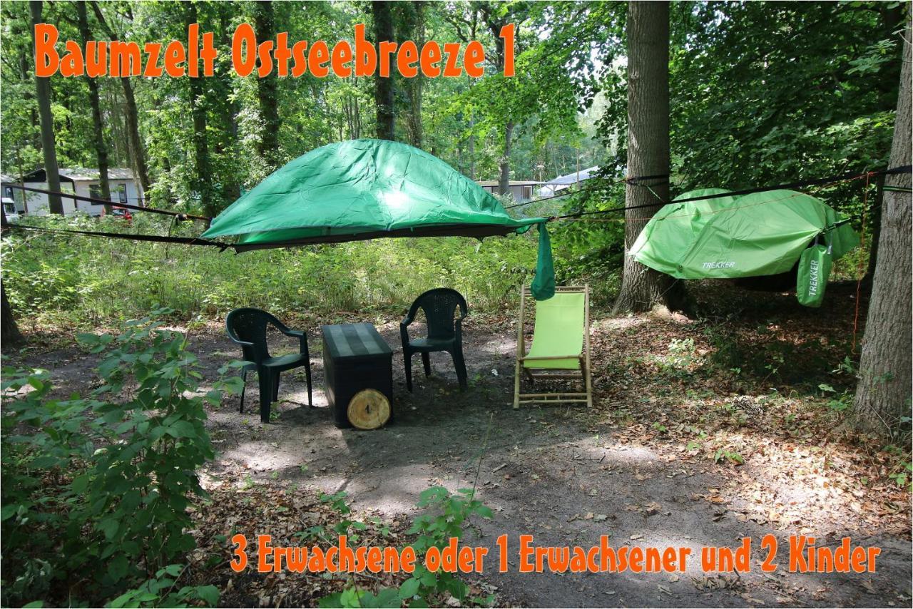 Baumzeltdorf Ostseebreeze Direkt Am Strand ドランスケ エクステリア 写真