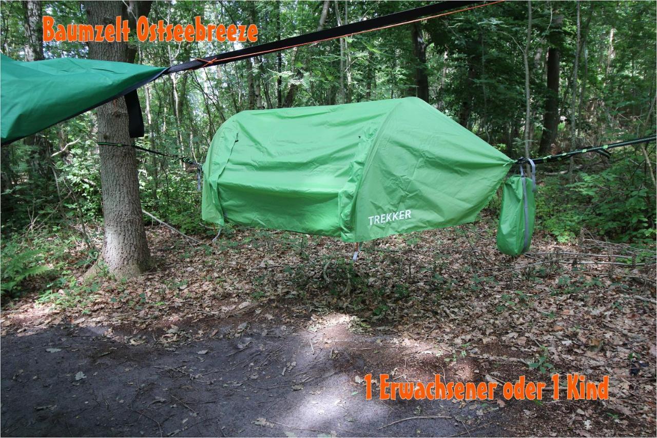 Baumzeltdorf Ostseebreeze Direkt Am Strand ドランスケ エクステリア 写真